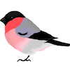 鷽のイラスト
